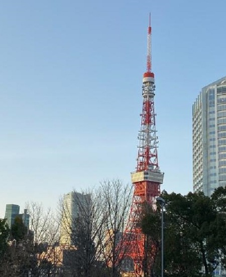 東京タワーを眺められる東京支店で1～2名採用！