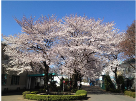 本社埼玉工場