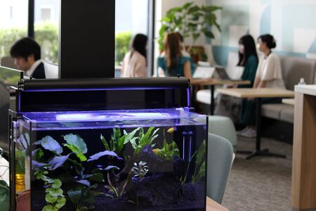 株式会社インストラクション