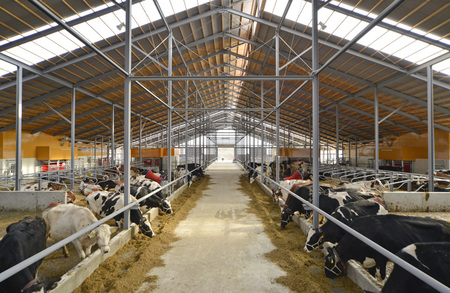 仕事のやりがい