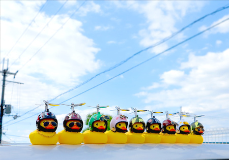 GO！GO！DUCK
